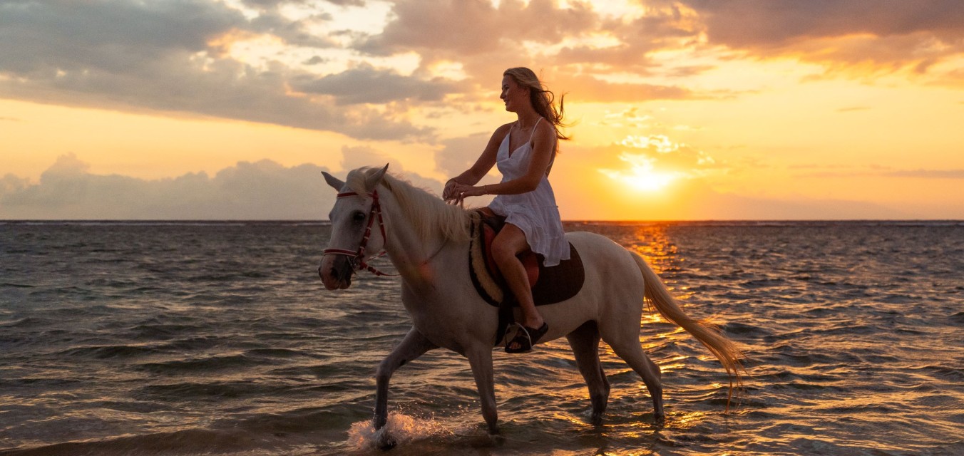 Cover w1352 h640 tw2500 th1184 x10 y1235 cr activ