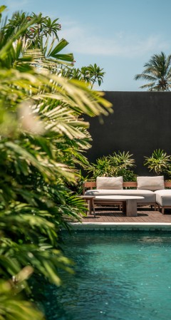 Cover w240 h449 tw654 th1224 x188 y10 rdcdsc01043