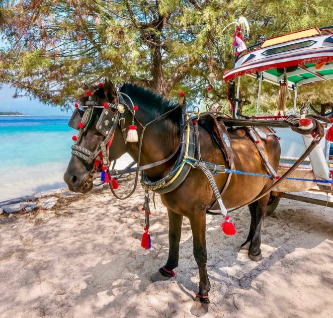 Cover w670 h640 tw670 th639 x1397 y10 cr dir prt