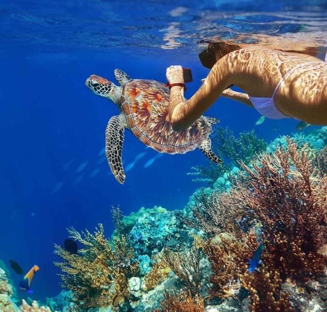 Cover w670 h640 tw670 th640 x10 y10 cr activ