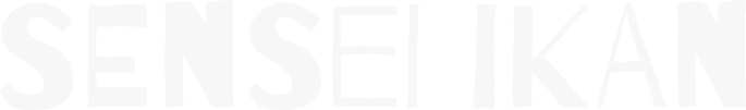 Vector